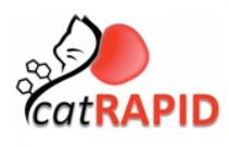 catRAPID