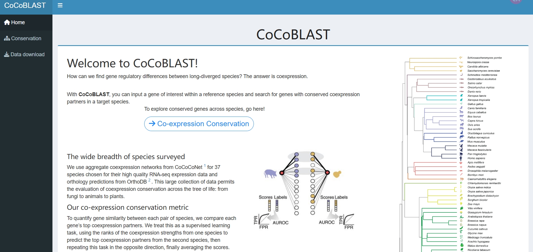 CoCoBLAST,CoCoCoNet作为一种工具，用于识别保守的基因模块和比较共表达网络